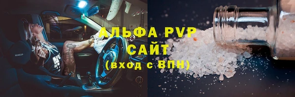 крисы Новозыбков