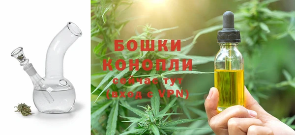 стафф Новокубанск