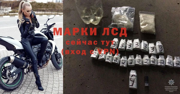 таблы Новодвинск