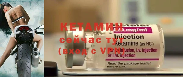крисы Новозыбков