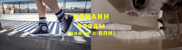 крисы Новозыбков