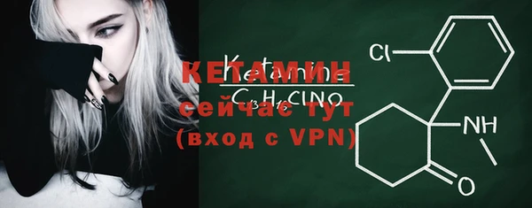 крисы Новозыбков