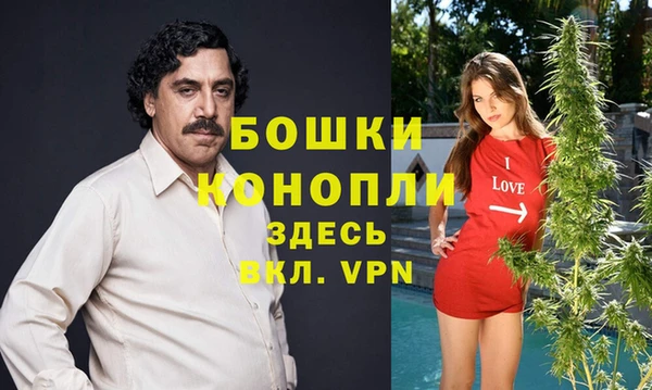 крисы Новозыбков