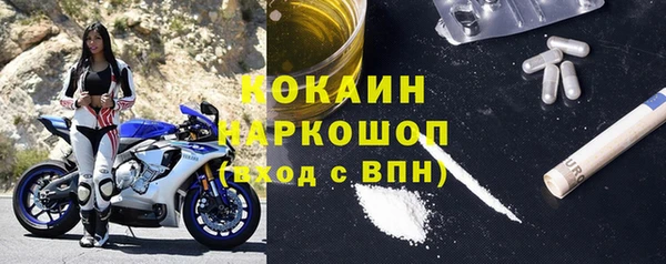 крисы Новозыбков