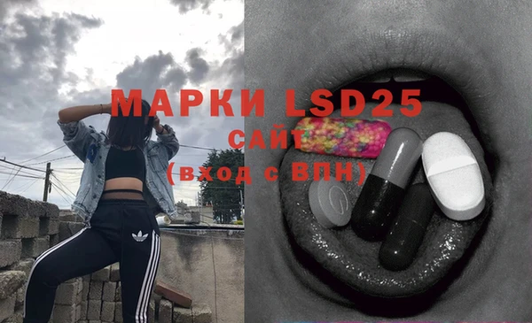 крисы Новозыбков