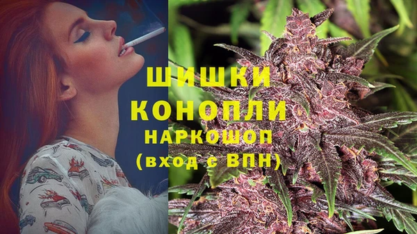 стафф Новокубанск