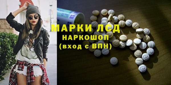 крисы Новозыбков