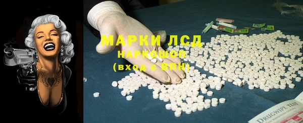 крисы Новозыбков