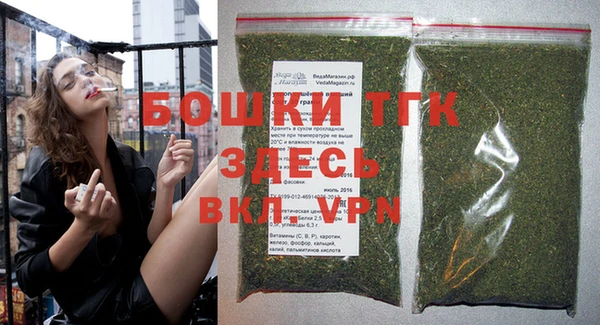 крисы Новозыбков